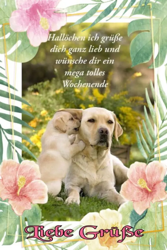 Condolence image of Tanja mit Timmy im Herzen