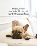 Condolence image of Tanja mit Timmy im Herzen