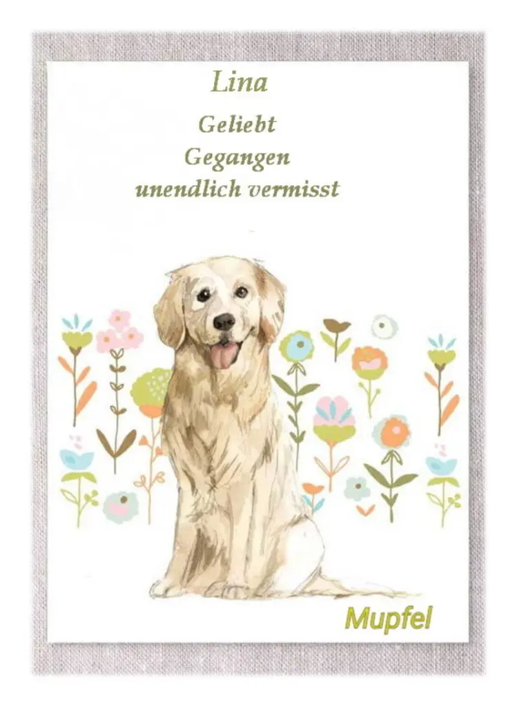 Condolence image of Sabine mit Kaspar tief im Herzen