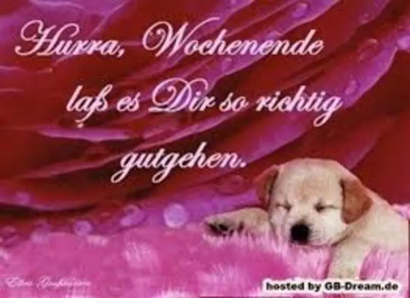 Condolence image of Tanja mit Timmy im Herzen