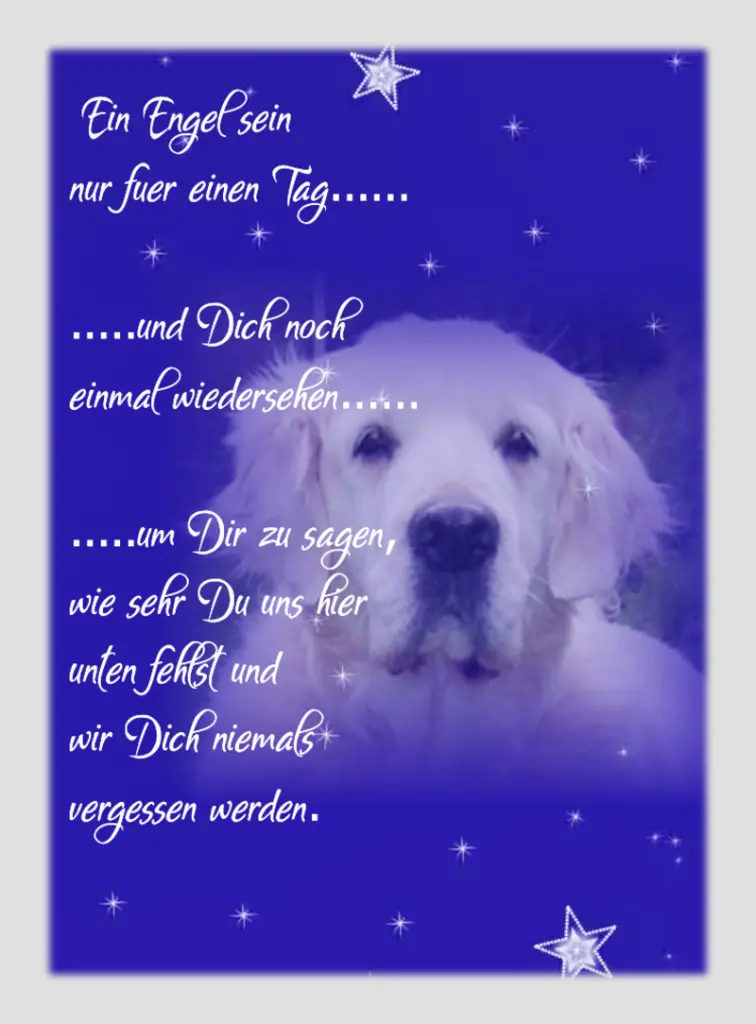 Condolence image of Sabine mit Kaspar tief im Herzen