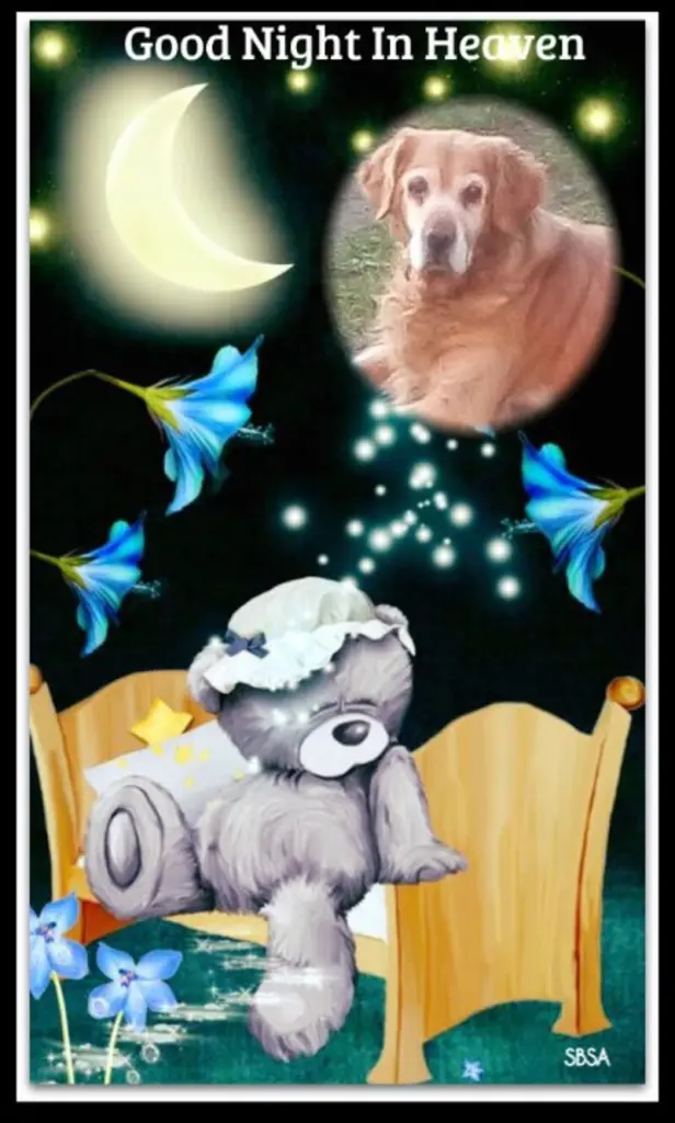 Condolence image of Gute Nacht❤️❤️❤️