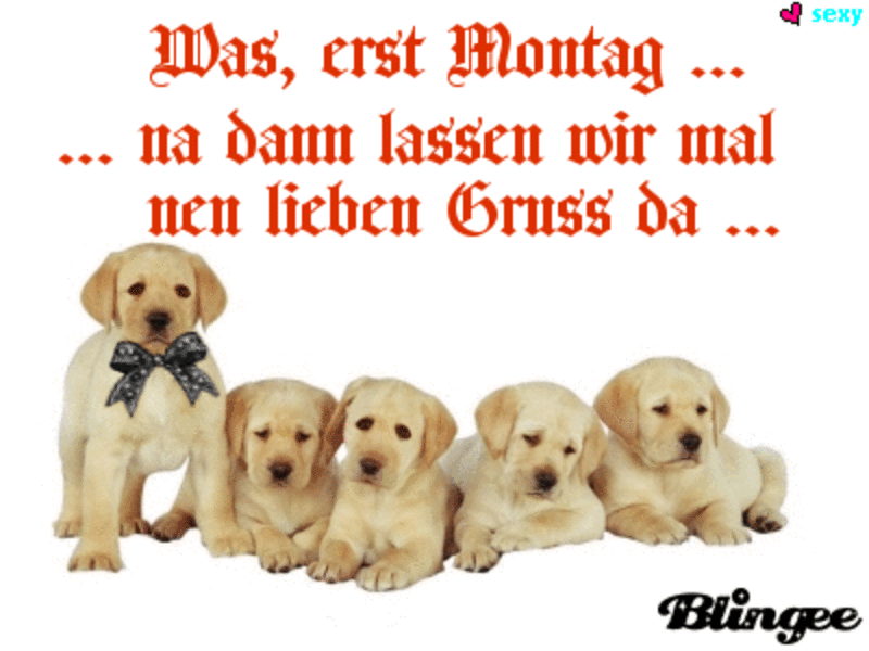 Condolence image of Post von Timmys Mutti Tanja an Lina