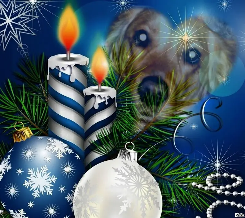 Condolence image of Tanja mit Timmy im Herzen