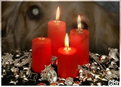 Condolence image of Tanja mit Timmy im Herzen