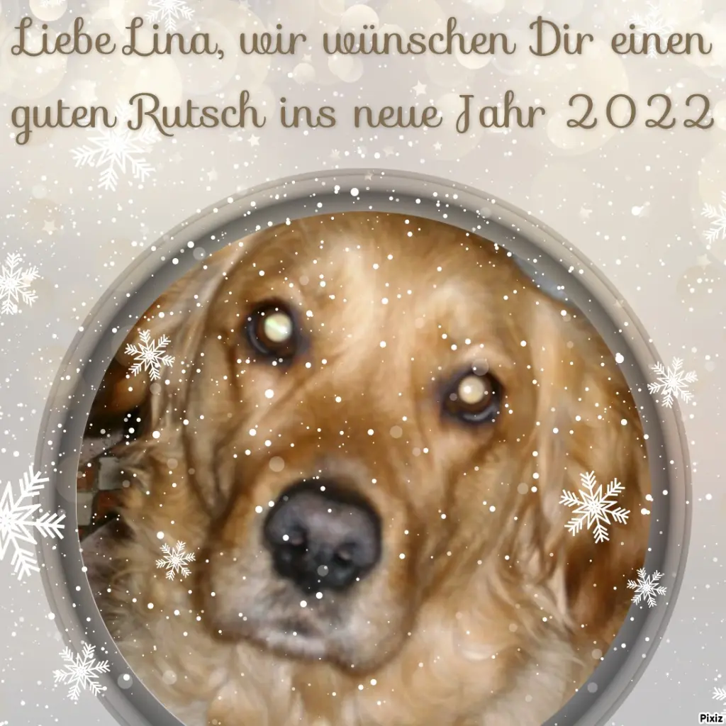 Condolence image of Tanja mit Timmy im Herzen