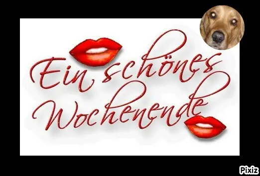Condolence image of Tanja mit Timmy im Herzen