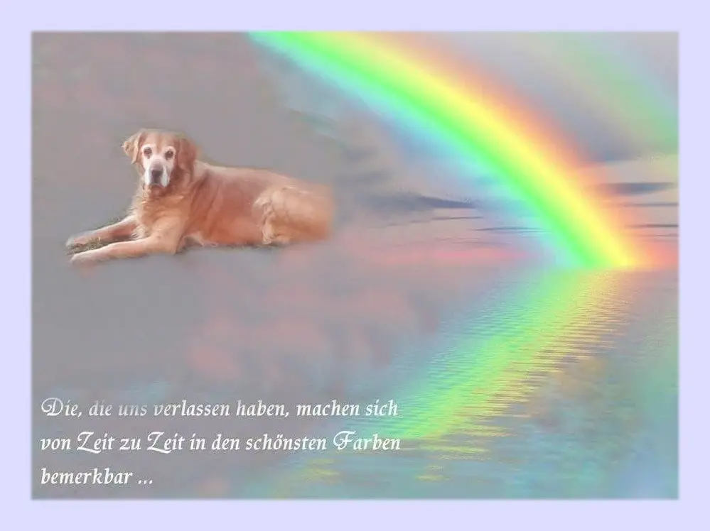 Condolence image of Sabine mit Kaspar tief im Herzen☸ڿڰۣ❤️