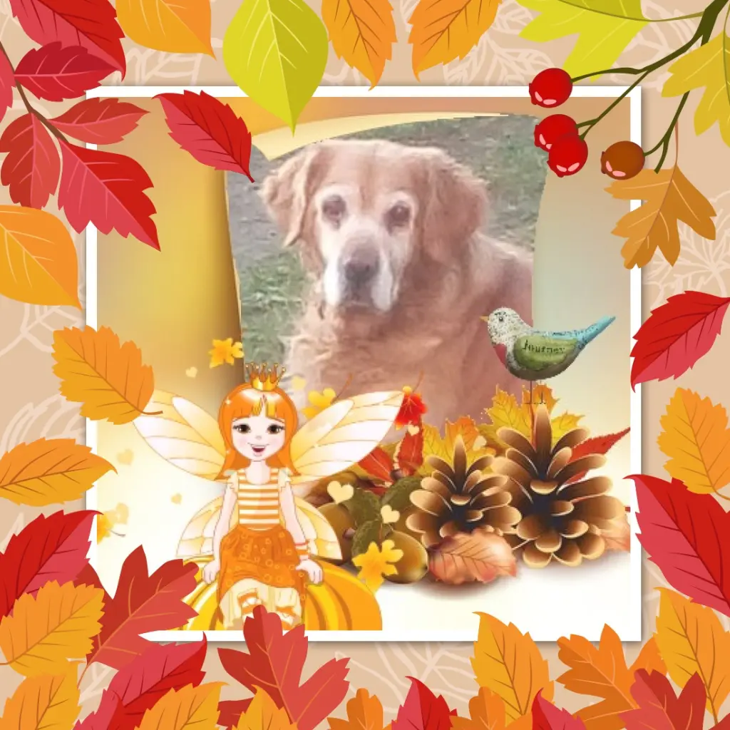 Condolence image of Sonntags❤️Rosen❤️❤️❤️❤️❤️❤️❤️❤️