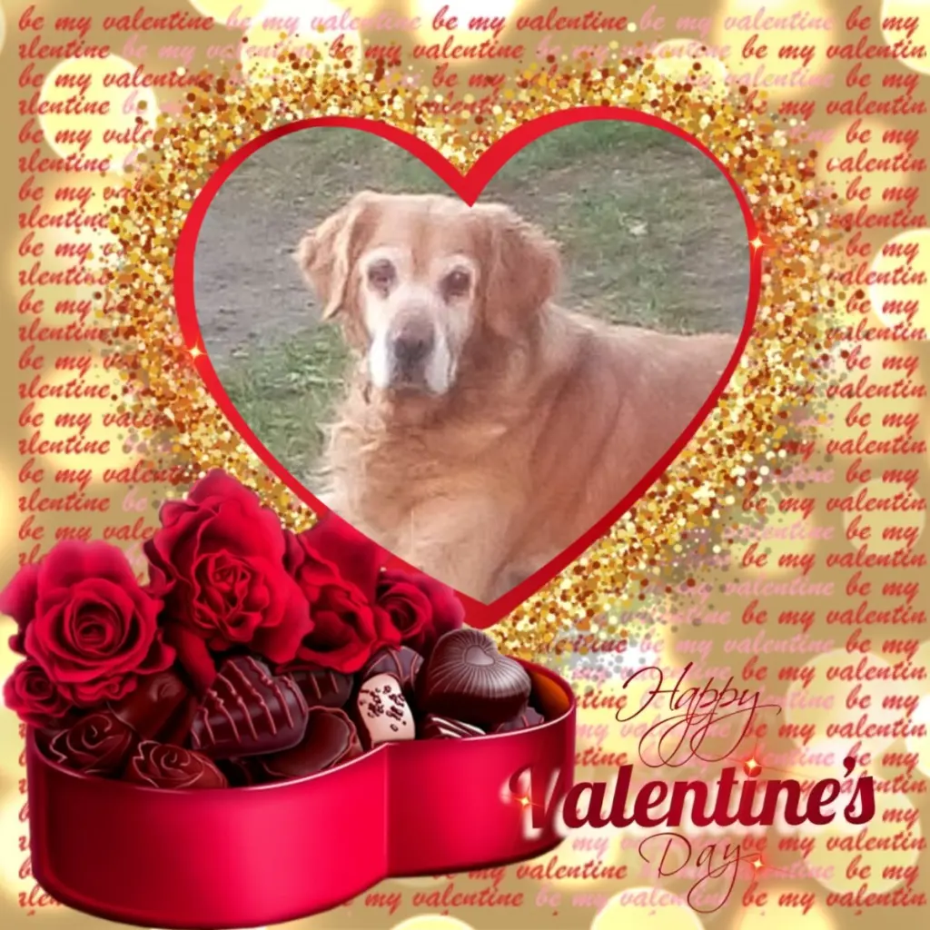 Condolence image of Valentins❤️Rosen❤️❤️❤️❤️❤️❤️❤️❤️