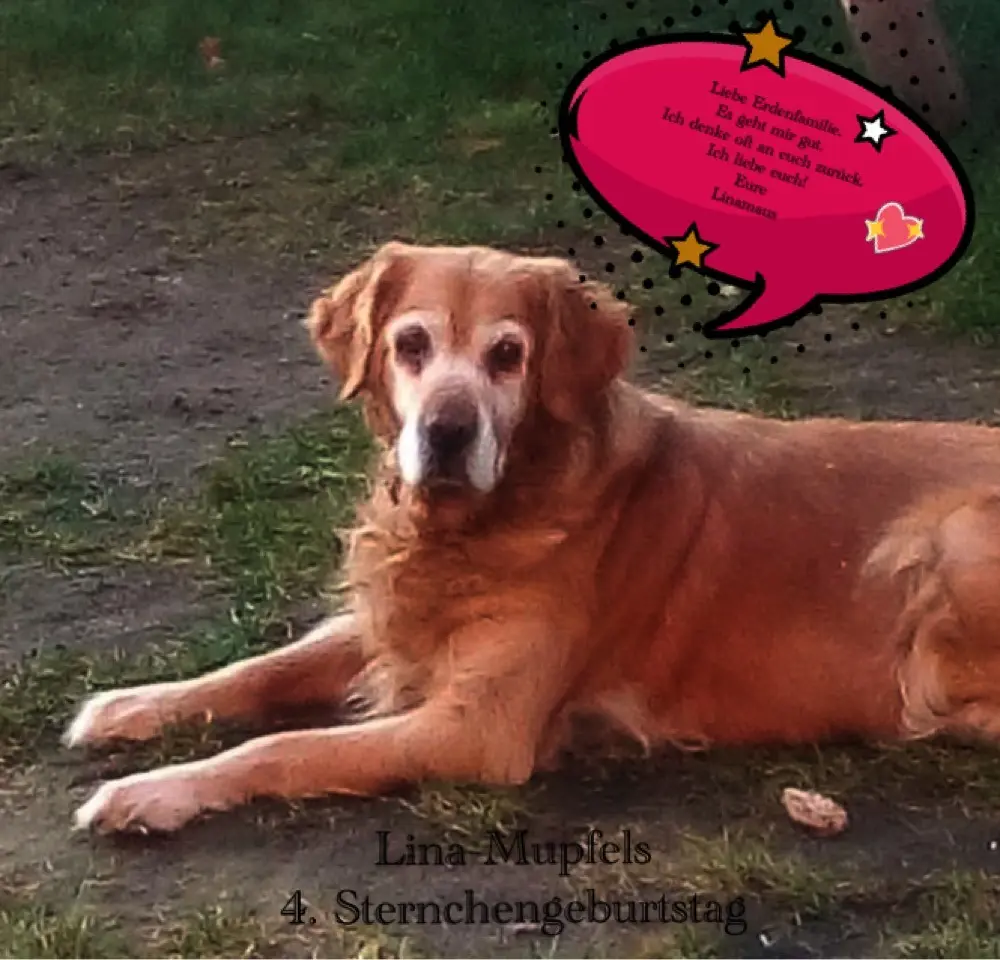 Condolence image of Sabine mit Kaspar&Jessy tief im ❤️