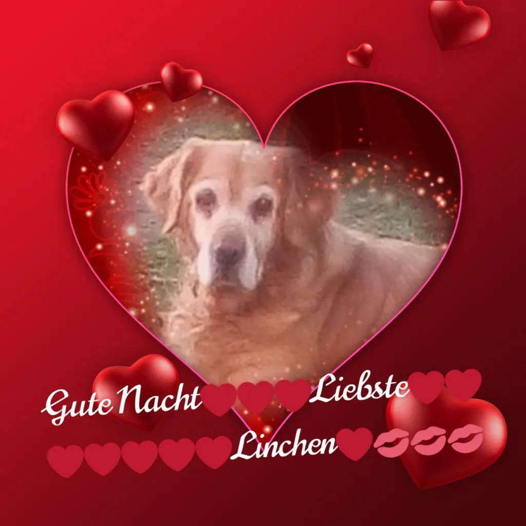 Condolence image of Gute Nacht❤️❤️❤️Mauschen❤️❤️❤️
