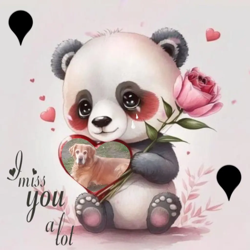 Condolence image of Sonntags❤️Rosen❤️❤️❤️❤️❤️❤️