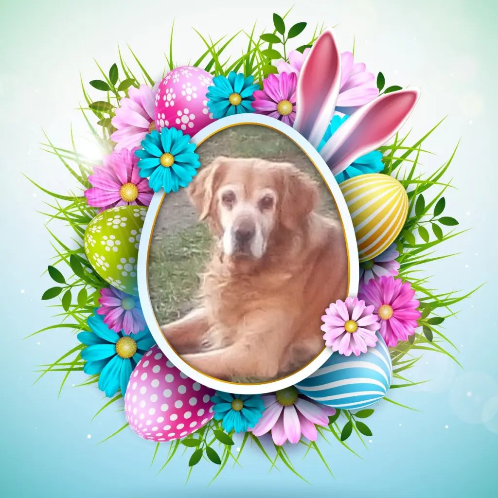 Condolence image of Frohe❤️❤️❤️Ostern❤️