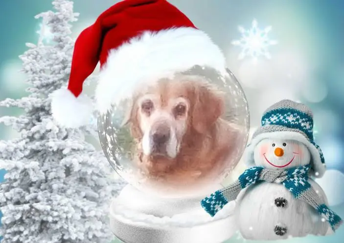 Condolence image of Nikolaus❤️fur Linchen❤️⭐️
