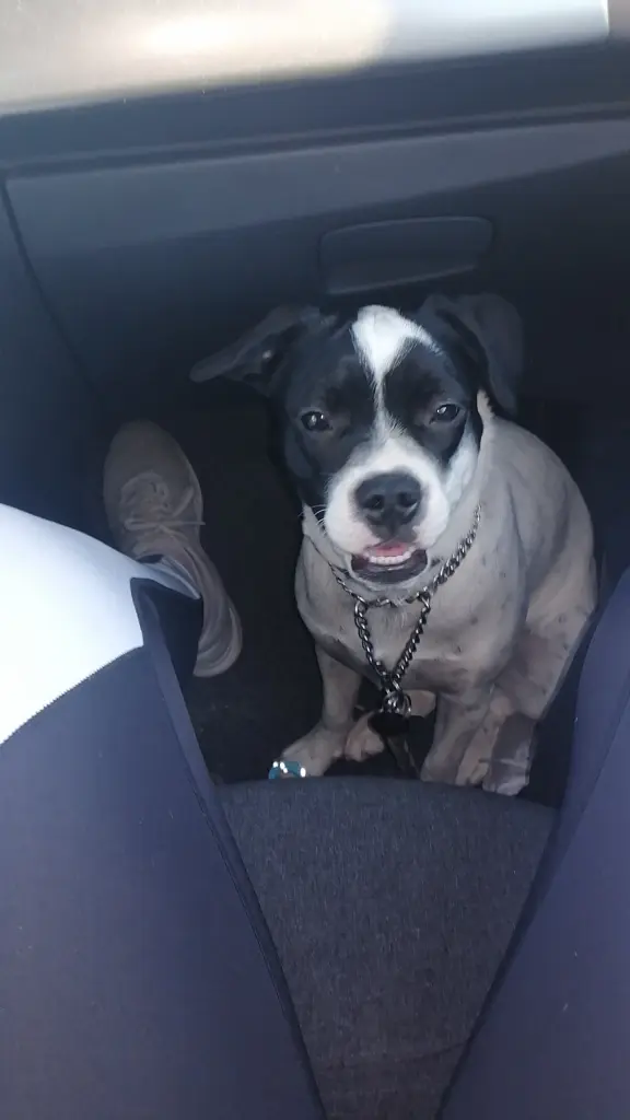 Andachtsbild von Juliane