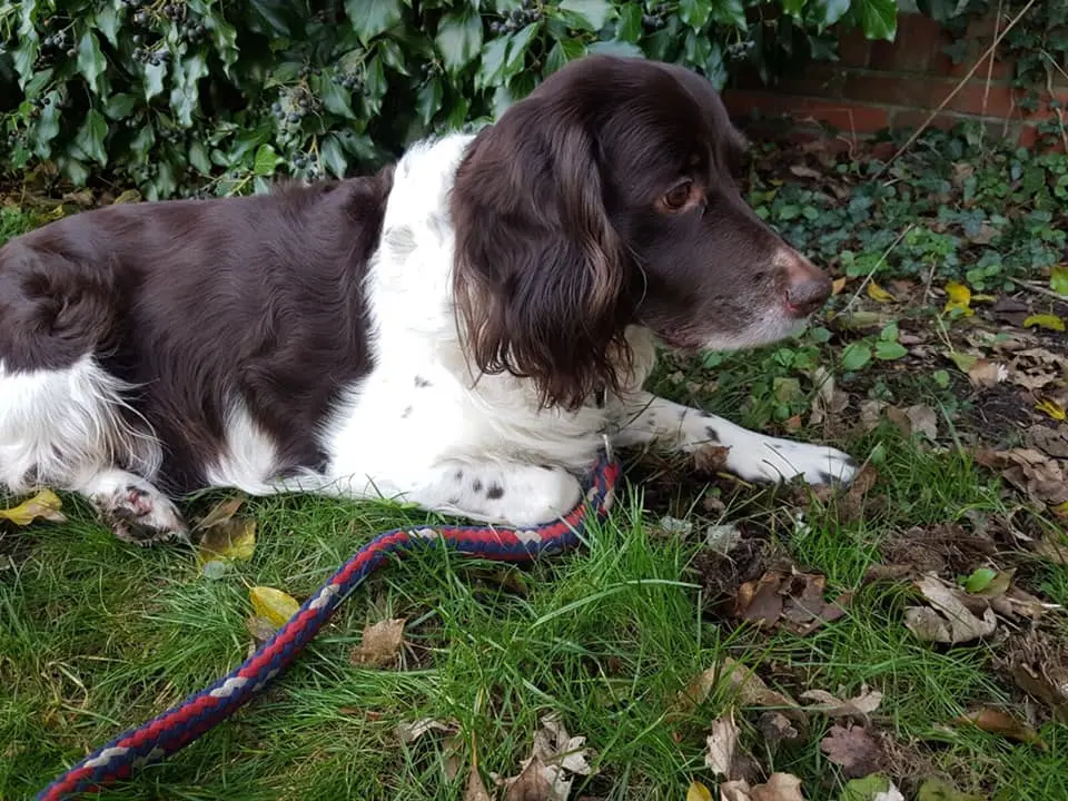 Image from Max