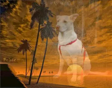 Condolence image of Heidi & Eberhard