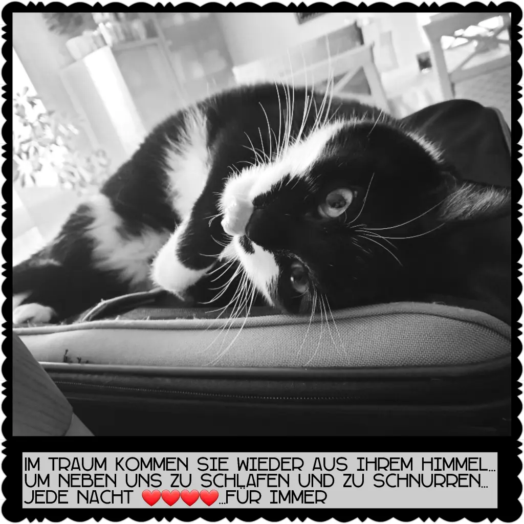Condolence image of Nicole
