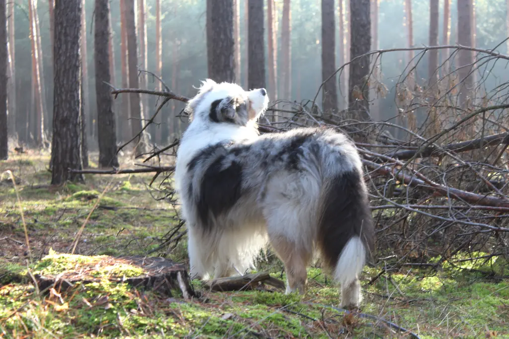 Bild von Vince
