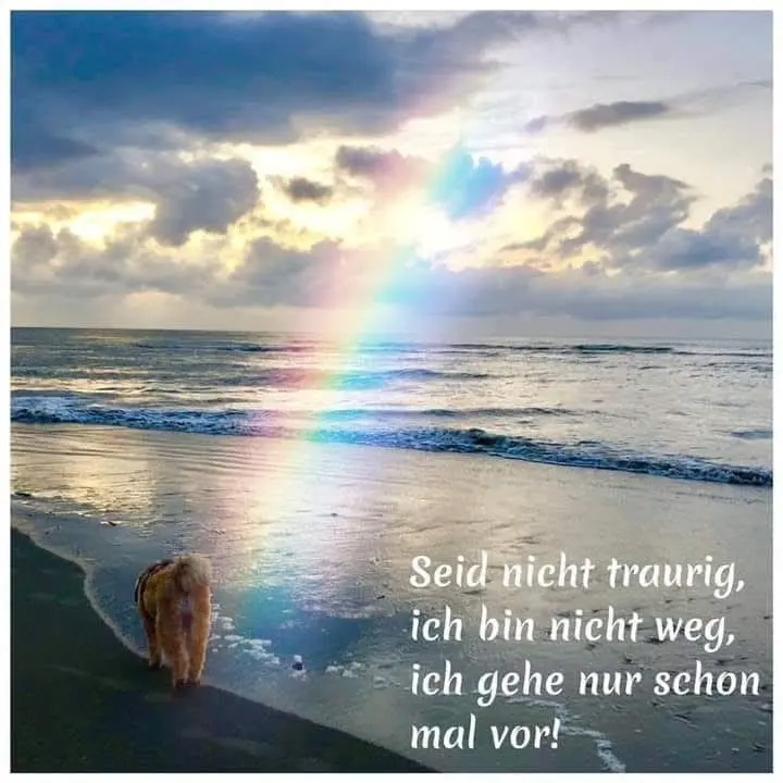 Condolence image of Gabriele Klitz