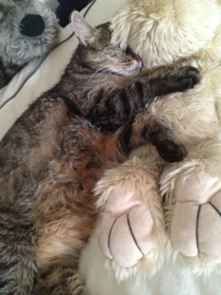 Condolence image of Nicola 