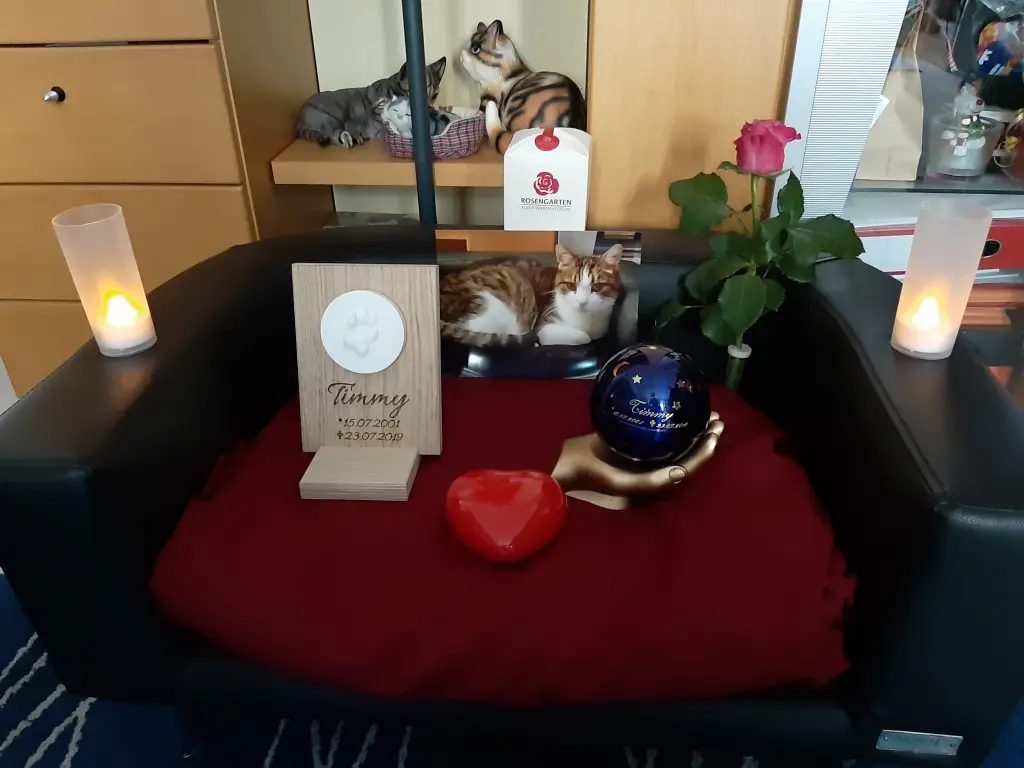 Condolence image of Tanja mit Timmy im Herzen