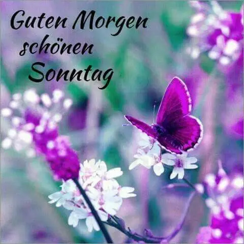 Condolence image of Unbekannt