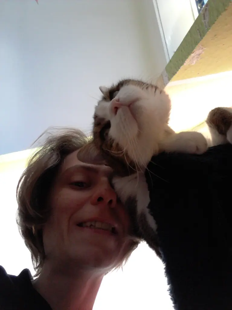 Condolence image of Tanja mit Timmy im Herzen 