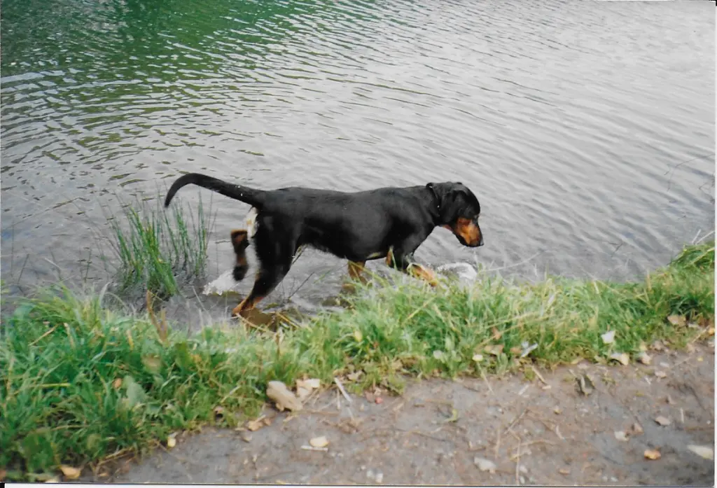 Andachtsbild von Helmut mit Benny im Herzen