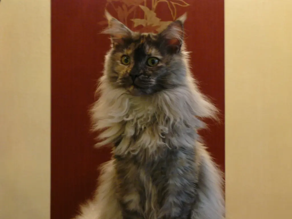 Condolence image of Meggie