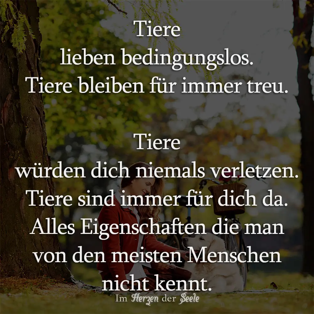 Condolence image of Unbekannt