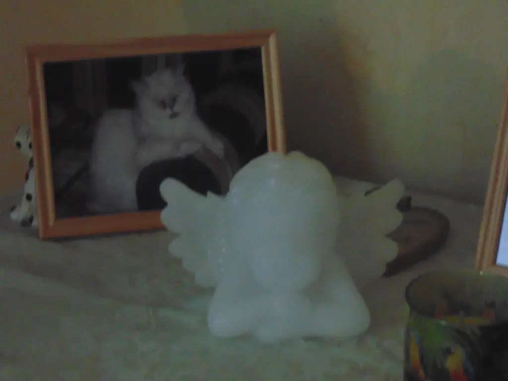 Condolence image of Steffi