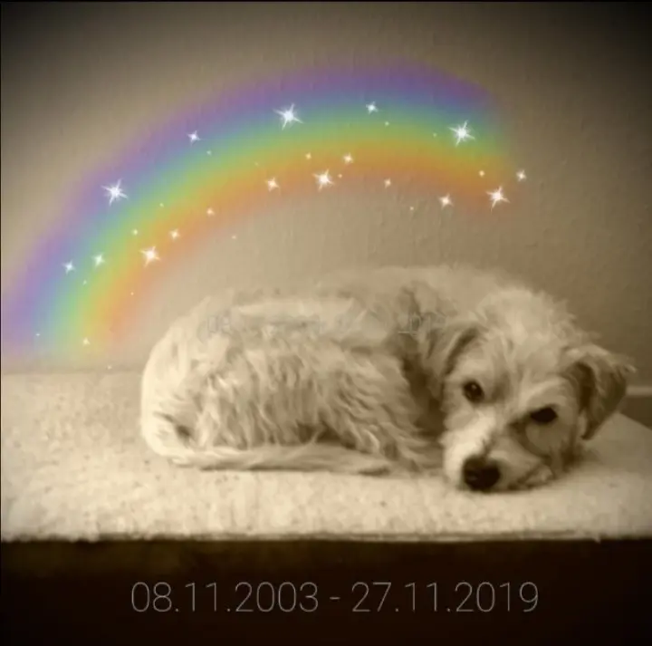Image from Eddy
