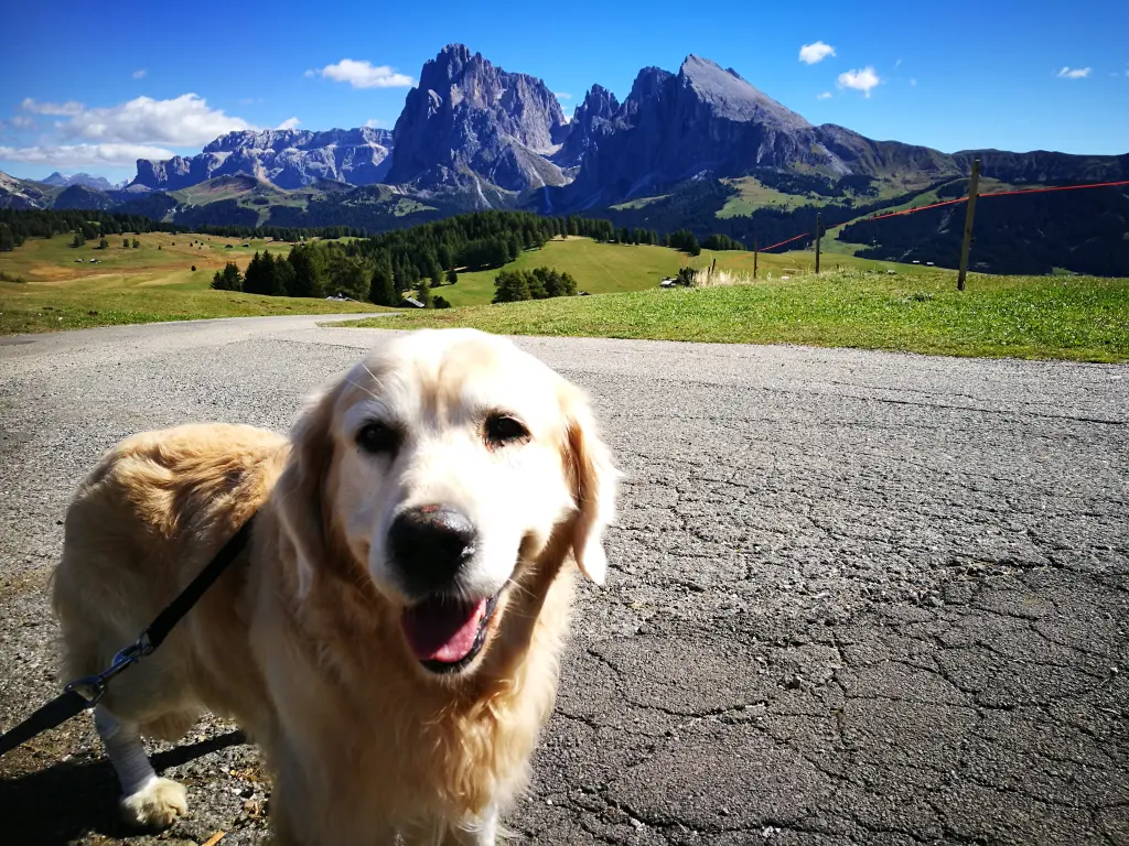 Image from Sunbun