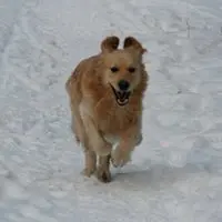 Image from Sunbun
