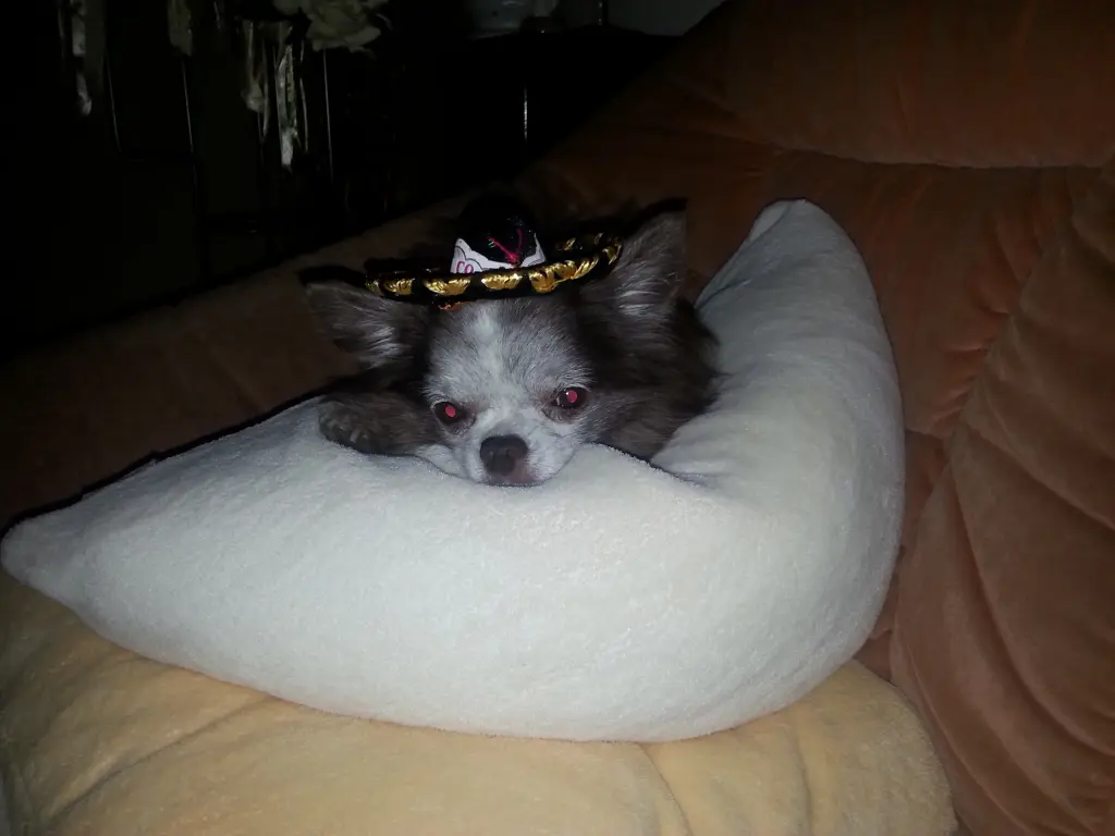 Image from Murphy&Tequila