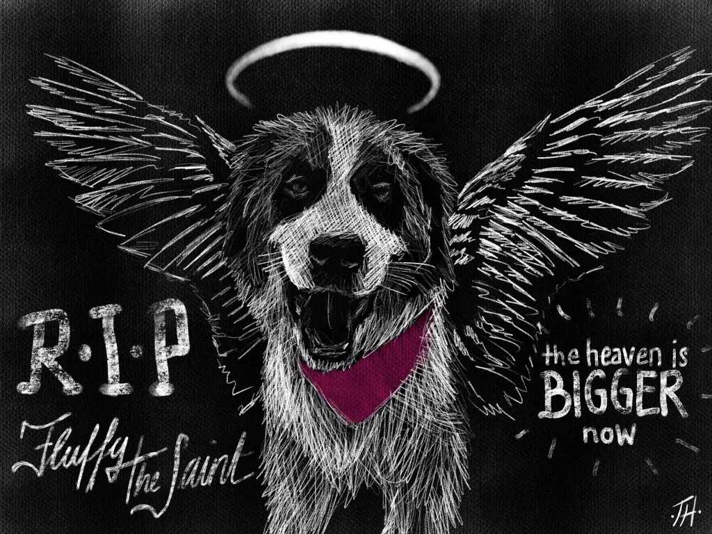 Image from Fluffy the Saint