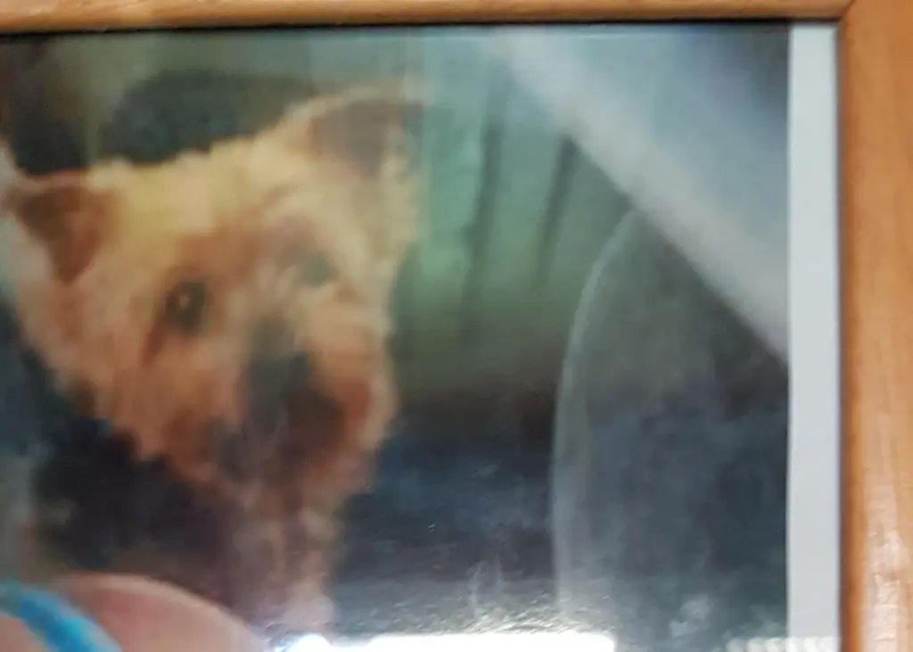 Condolence image of Rena