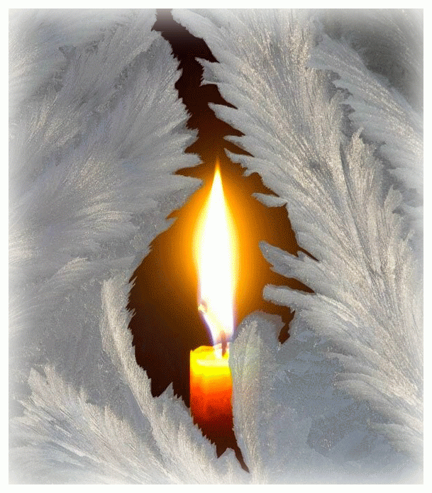 Condolence image of Sabine mit Kaspar tief im Herzen