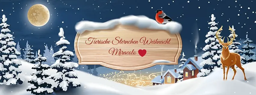 Condolence image of Weihnachtsgrüße ins Regenbogenland die von Herzen kommen✰ ¸.•*¨*•.