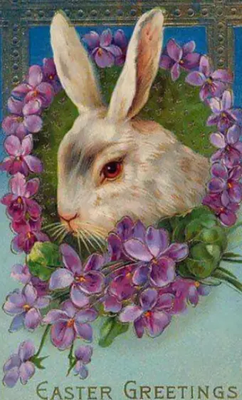 Condolence image of 🐰Ostergrüße an Miracolo💖