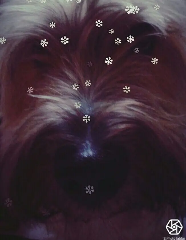 Image from Tobi