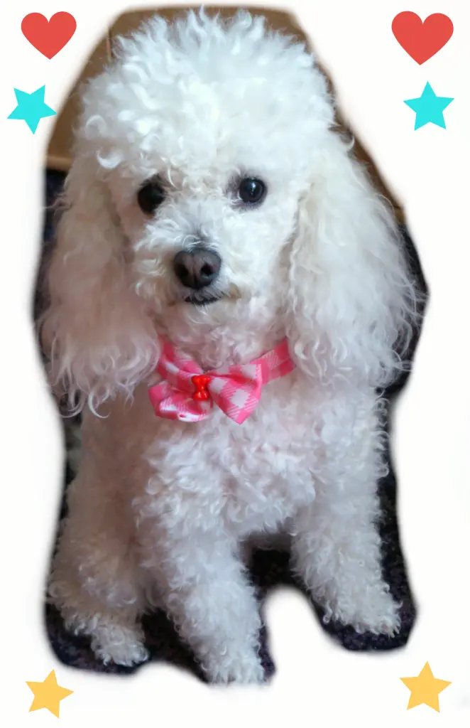 Andachtsbild von Angela mit Engel CHERI ❤⭐