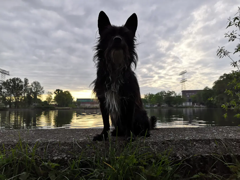 Andachtsbild von Unbekannt