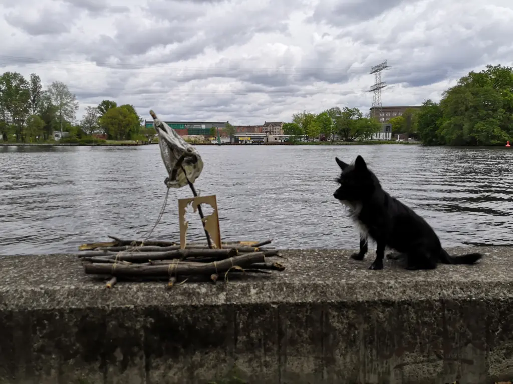 Bild von Cookie Monsta