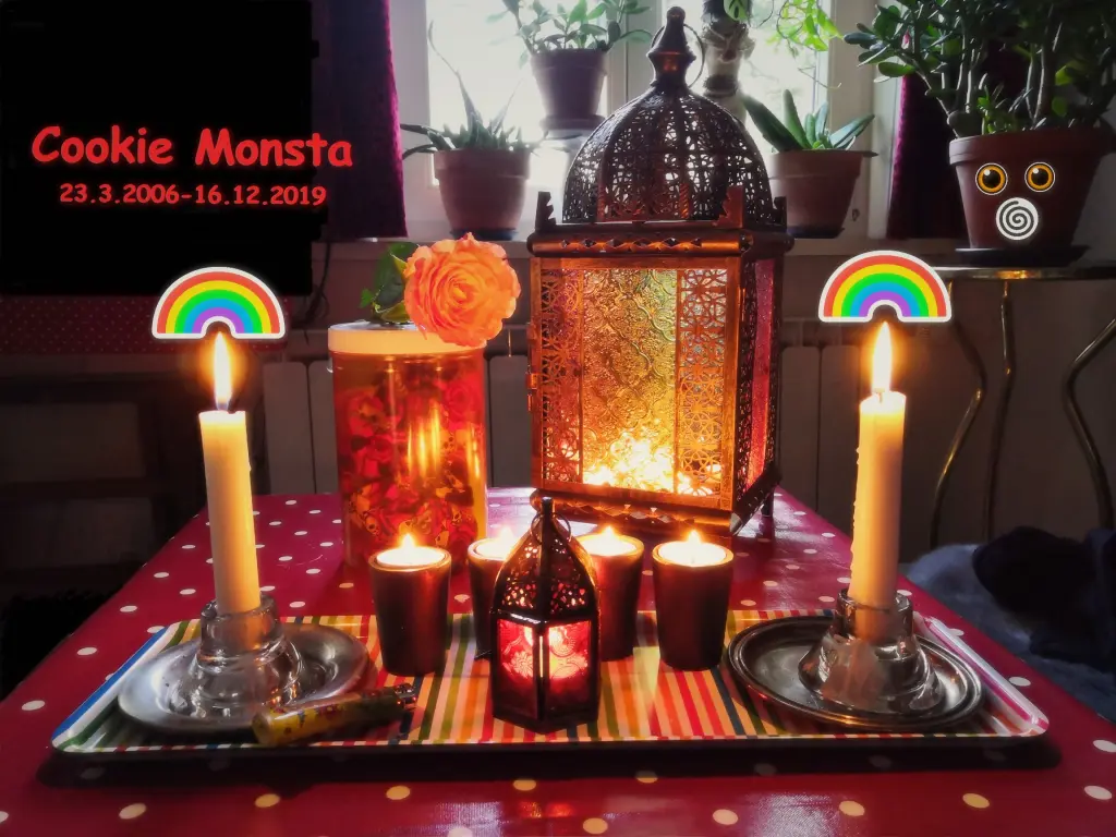 Bild von Cookie Monsta