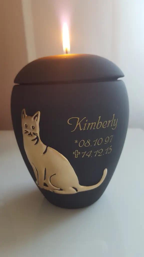 Image from Kimberly