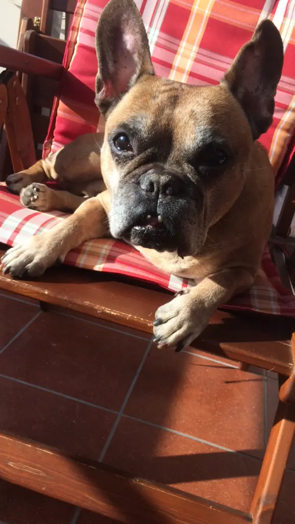 Image from Manolo