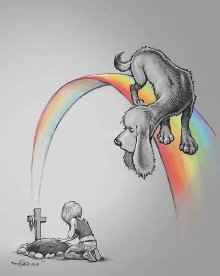 Condolence image of Silke